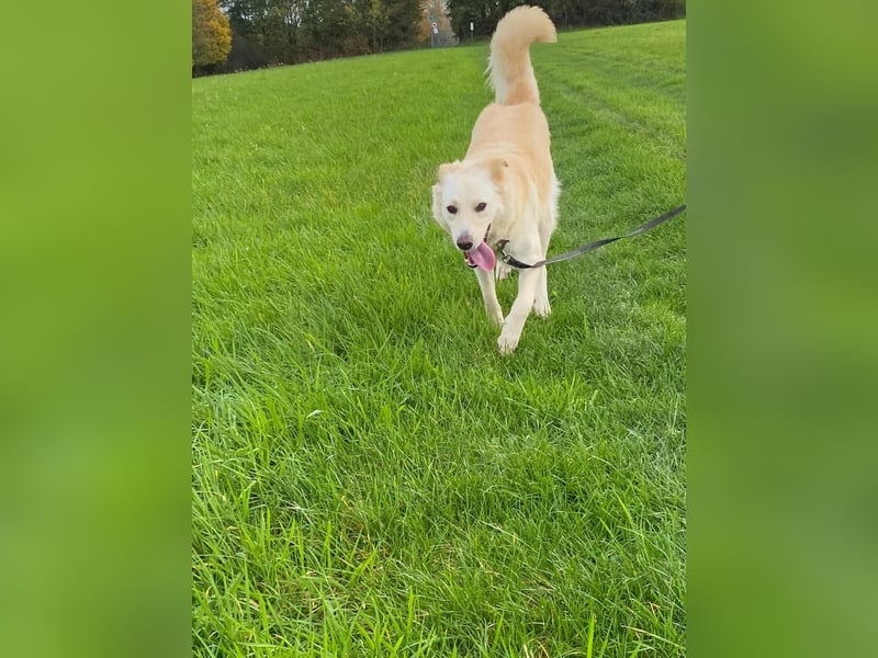 Mimi sucht ihr Glücl