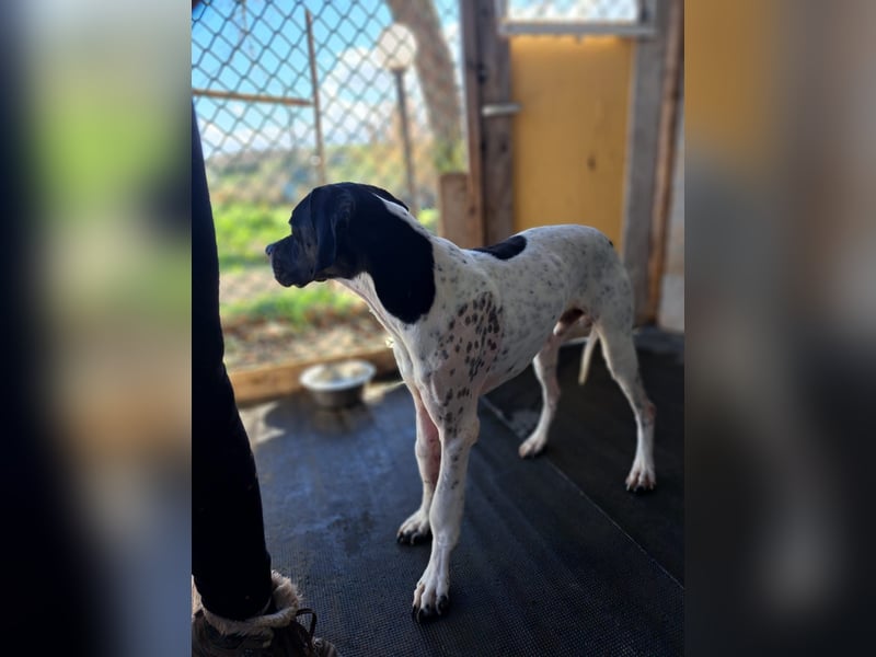 Lucio unser Kämpfer