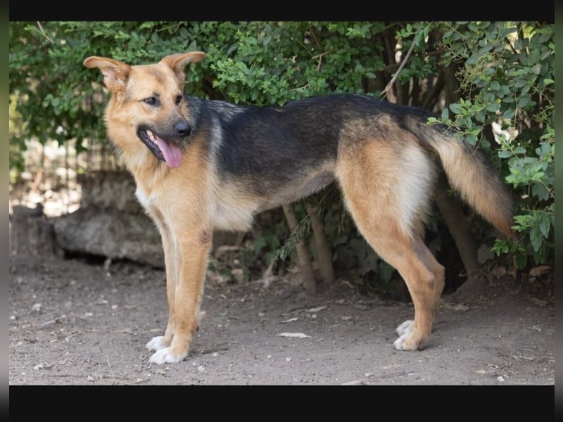 Contina sucht ihr Zuhause