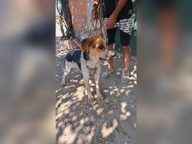 Hermes sucht seine Menschen