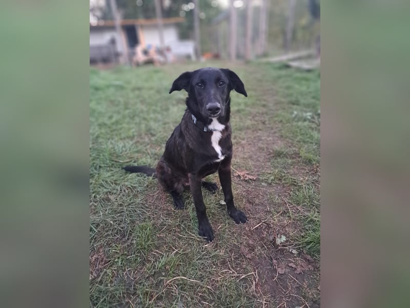 Fanny möchte ankommen