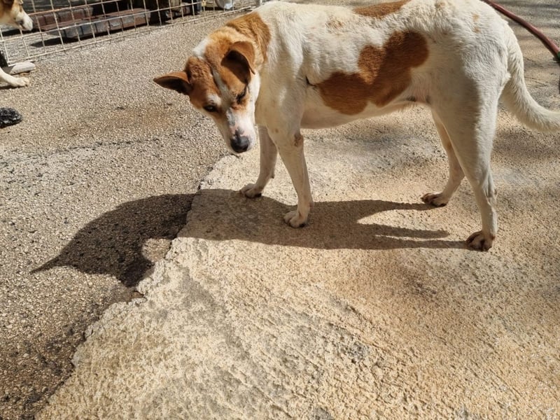 Zeta sucht dringend ihre Menschen