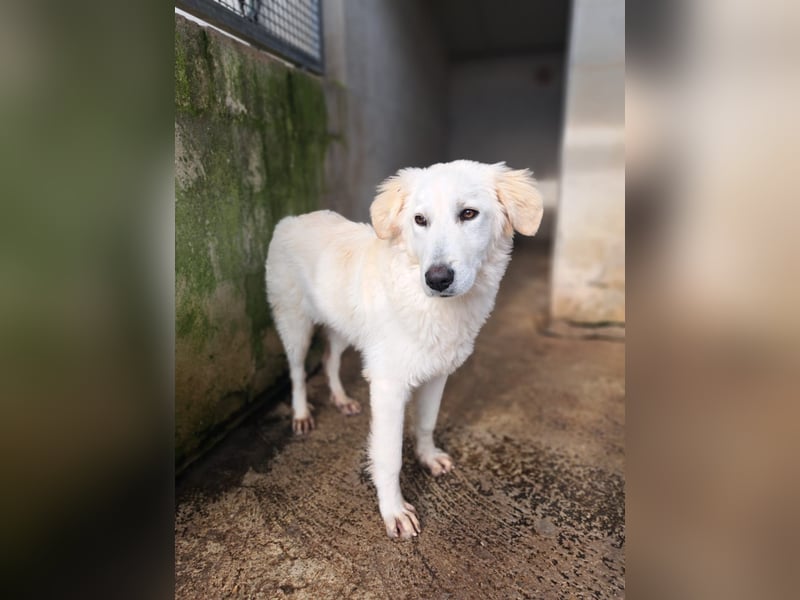 Adele möchte ankommen