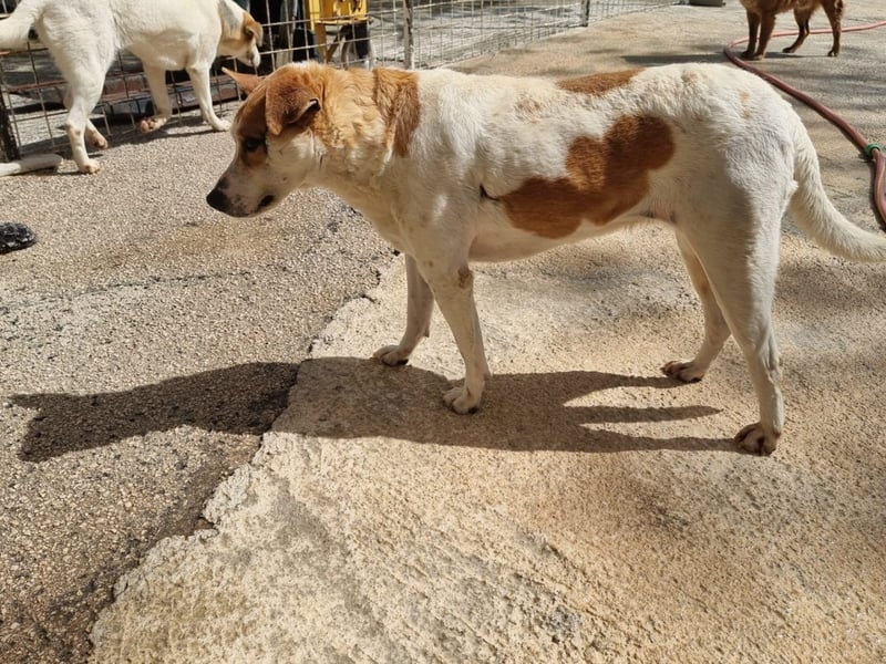 Zeta sucht dringend ihre Menschen
