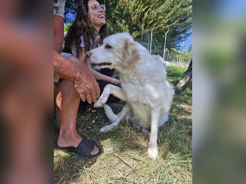 Gretel sucht ihre Familie