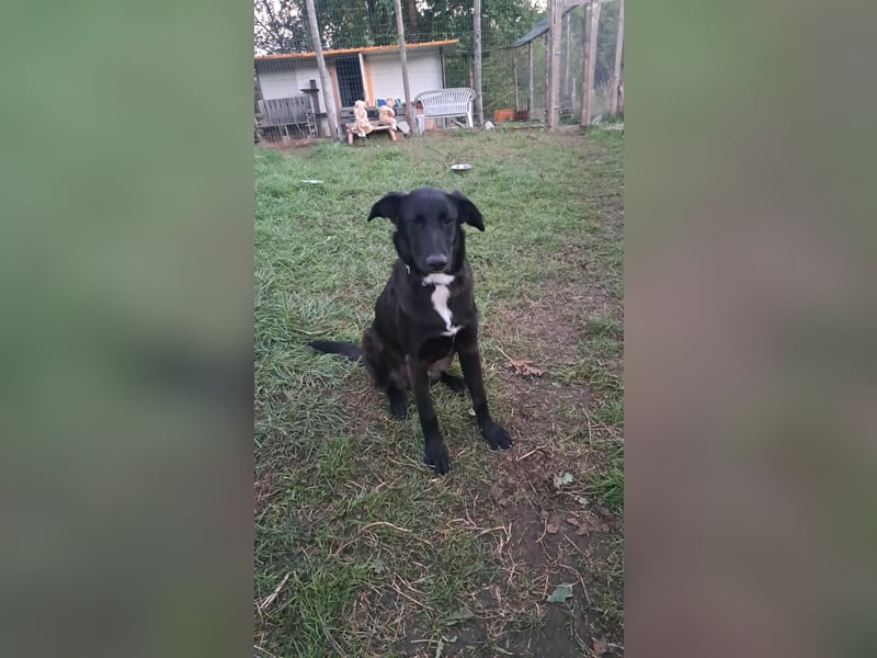 Fanny möchte ankommen