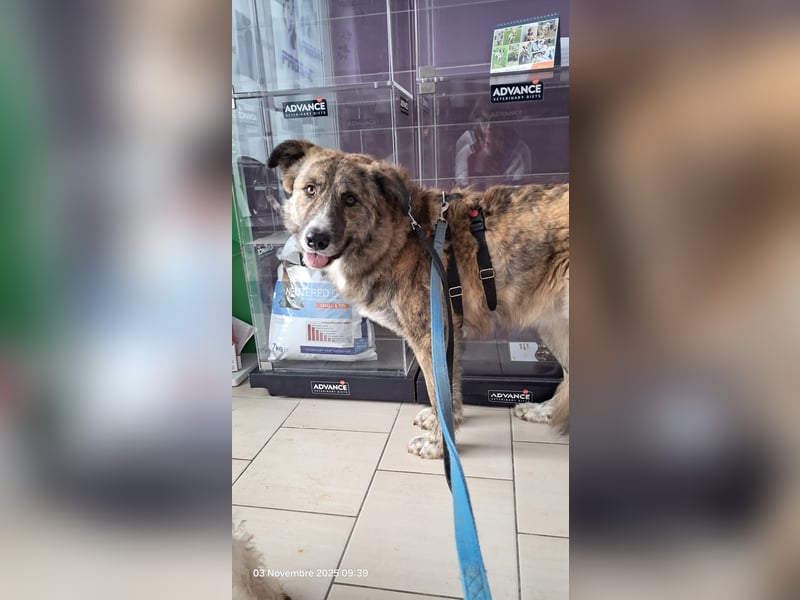 Pupetta sucht ihr für immer Zuhause