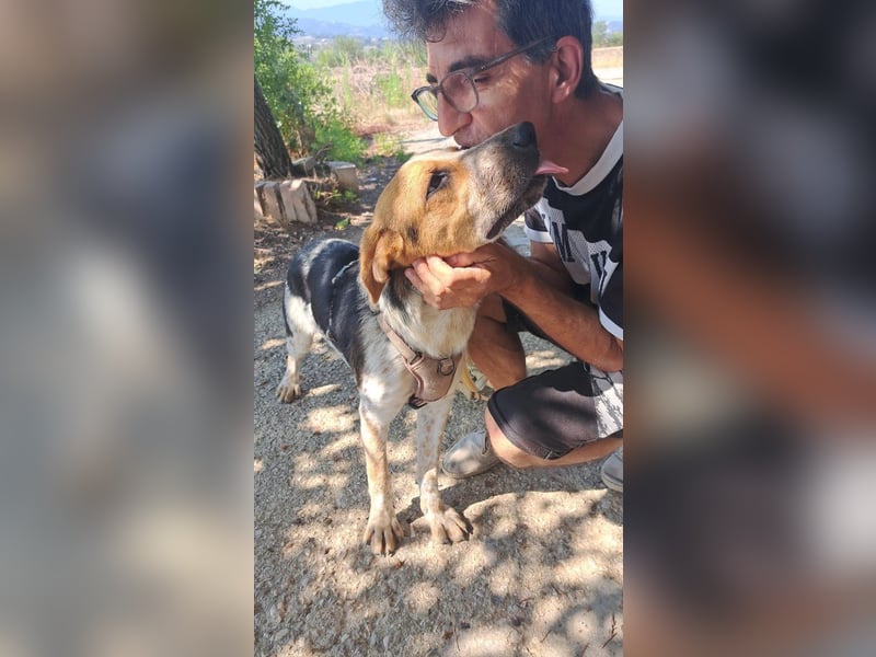 Hermes sucht seine Menschen