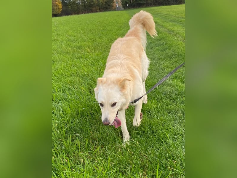 Mimi sucht ihr Glücl