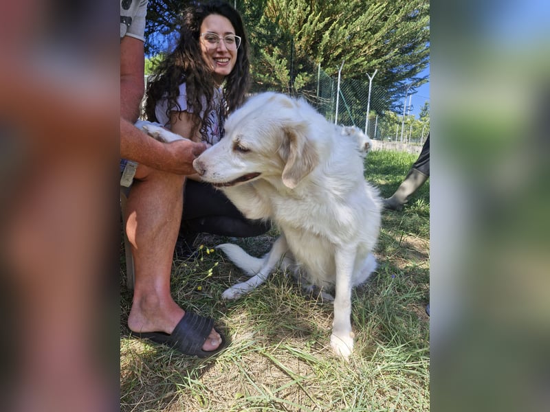 Gretel sucht ihre Familie