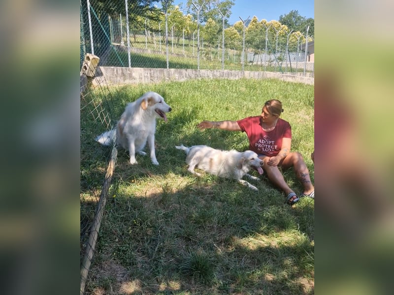 Hänsel sucht sein Glück