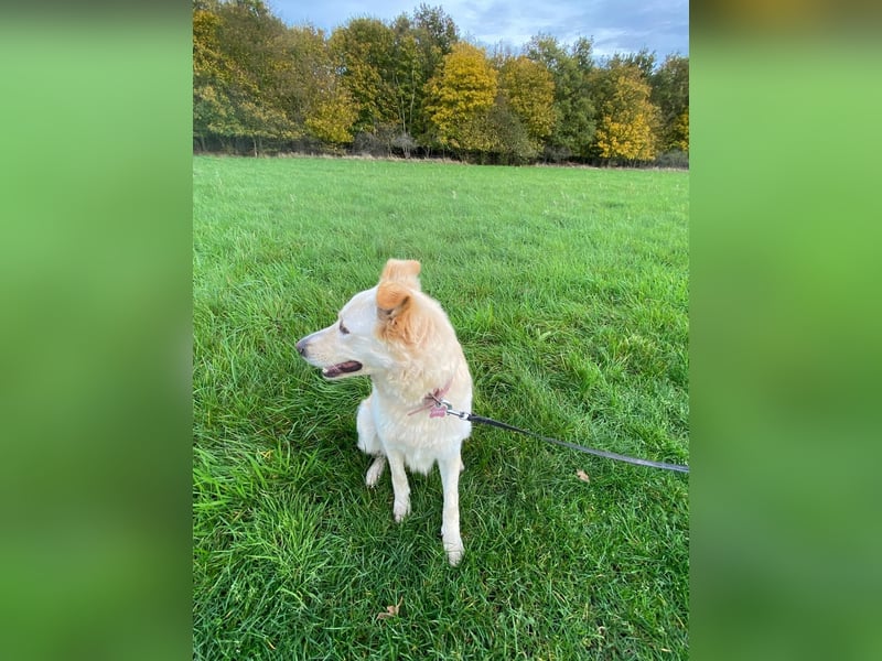 Mimi sucht ihr Glücl