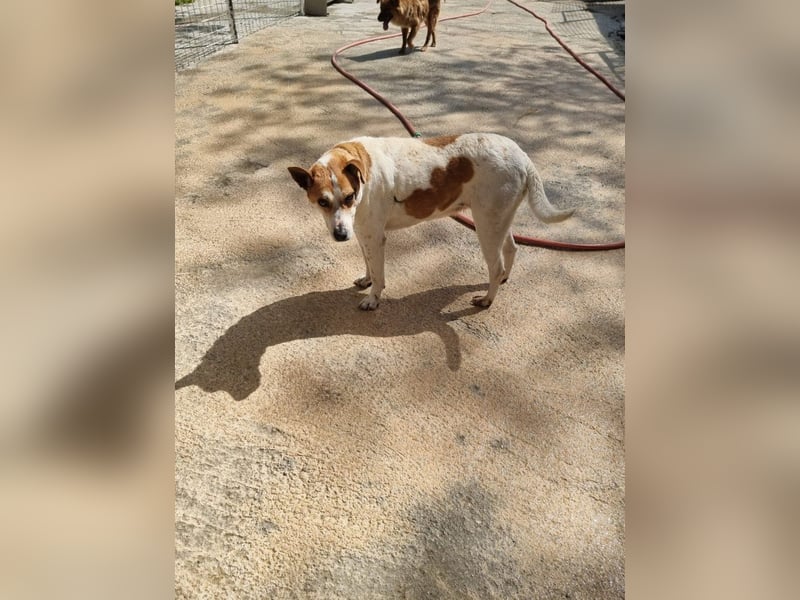 Zeta sucht dringend ihre Menschen