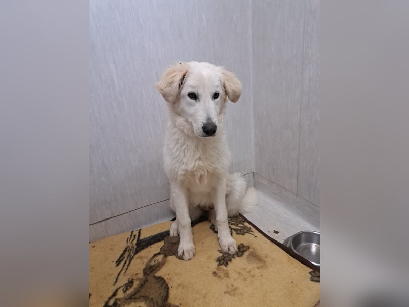 Adele möchte ankommen