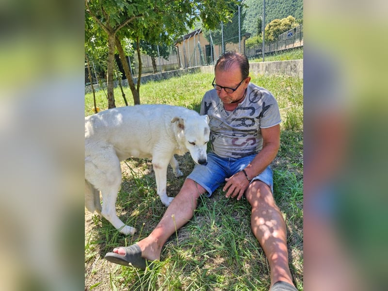 Casper sucht seine Herzensmenschen