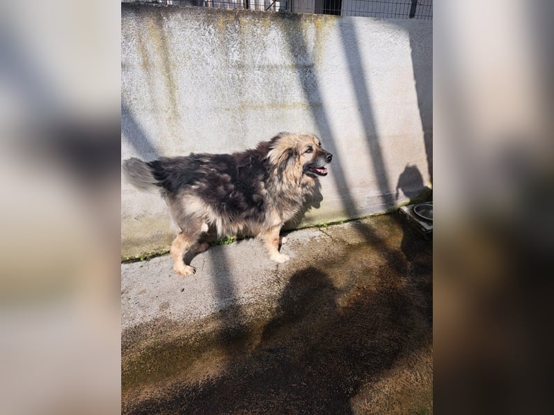 Argo sucht seine Menschen