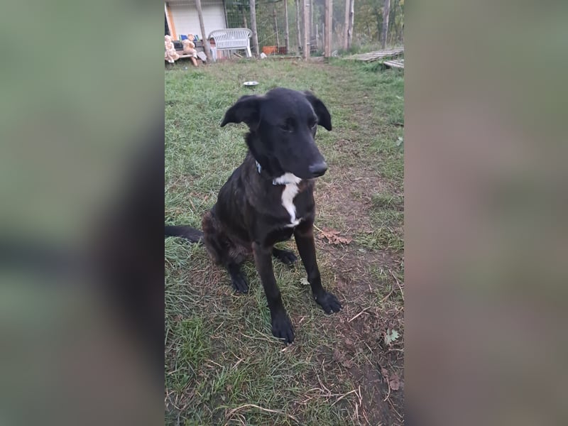 Fanny möchte ankommen