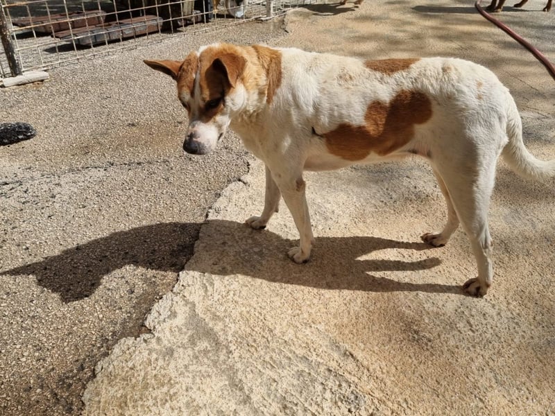 Zeta sucht dringend ihre Menschen