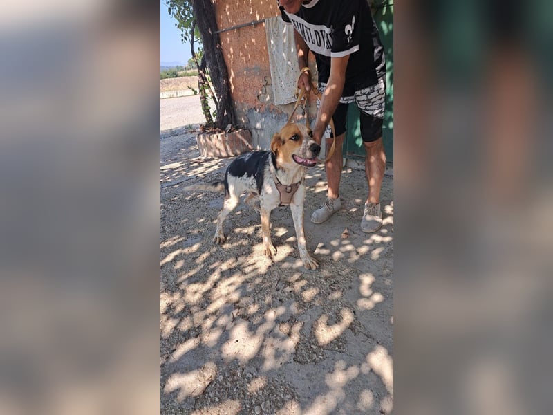 Hermes sucht seine Menschen