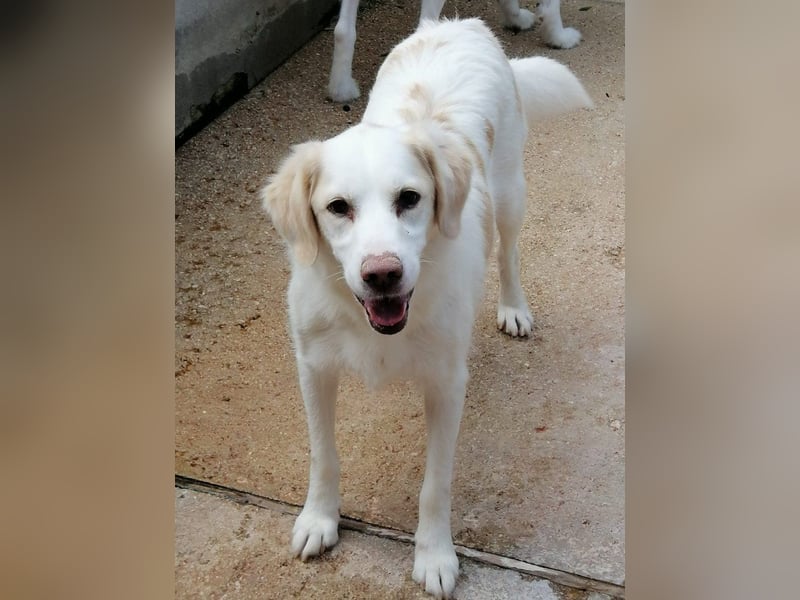 Gretel sucht ihre Familie