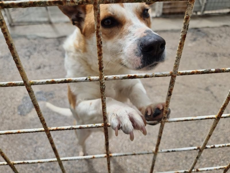 Zeta sucht dringend ihre Menschen