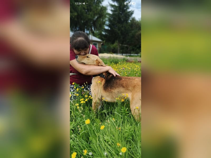 Linda sucht ihr Für -immer -Zuhause ❤️