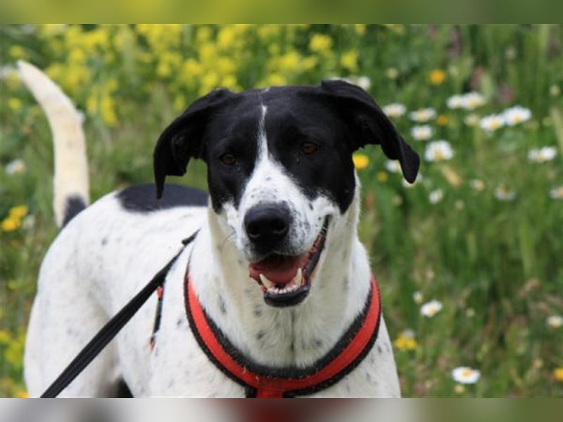 aktive ORNELLA sucht ihre Familie...  