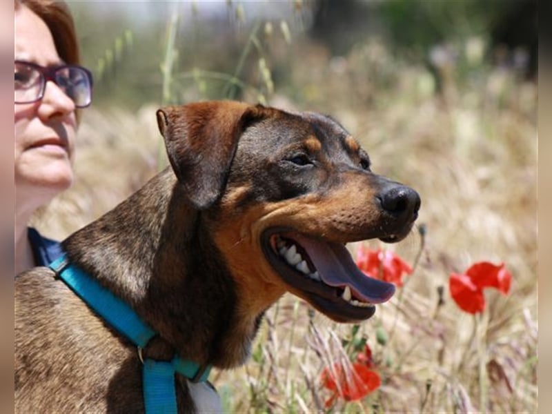 GARMIN sucht ein Zuhause....  