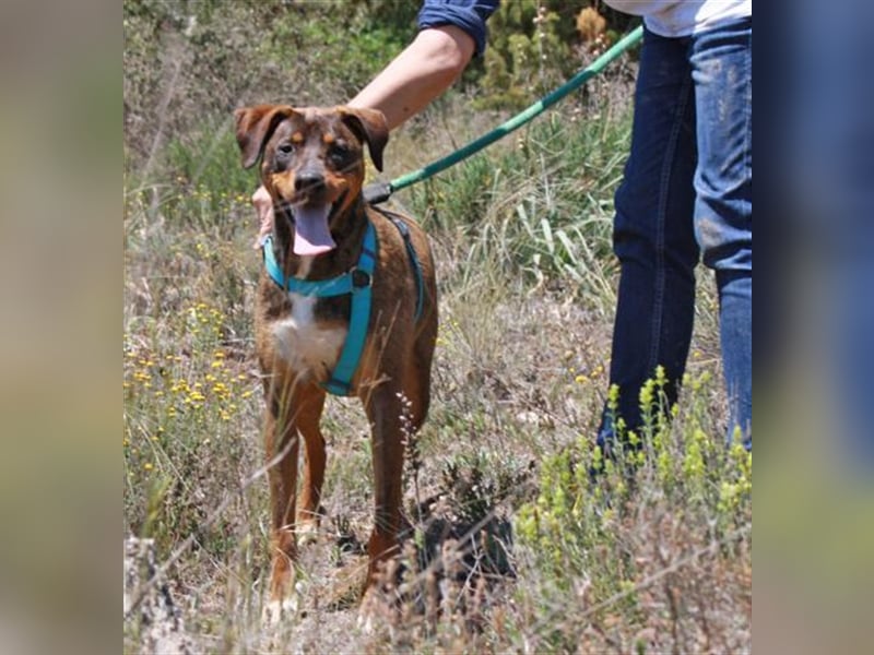 GARMIN sucht ein Zuhause....  