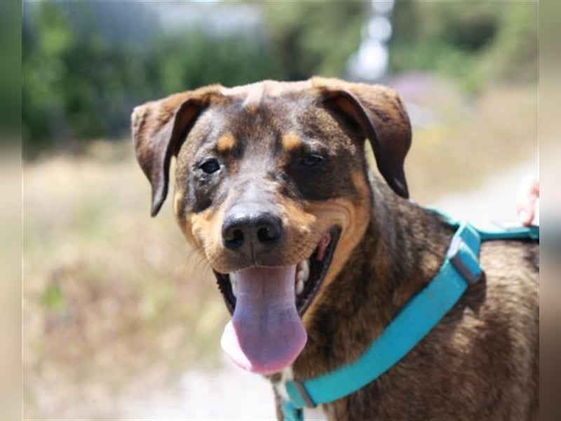 GARMIN sucht ein Zuhause....  