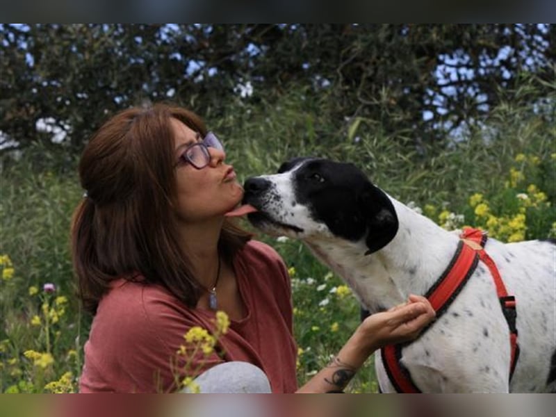 aktive ORNELLA sucht ihre Familie...  