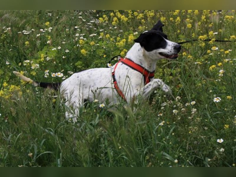 aktive ORNELLA sucht ihre Familie...  