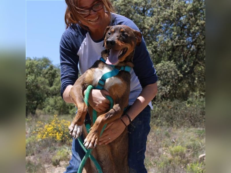 GARMIN sucht ein Zuhause....  