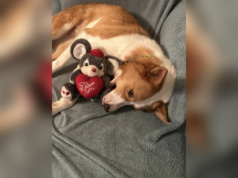 Dana sucht ihre liebevolle Familie