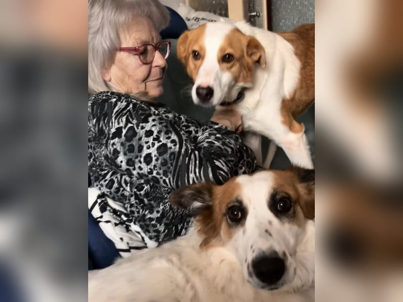 Dana sucht ihre liebevolle Familie