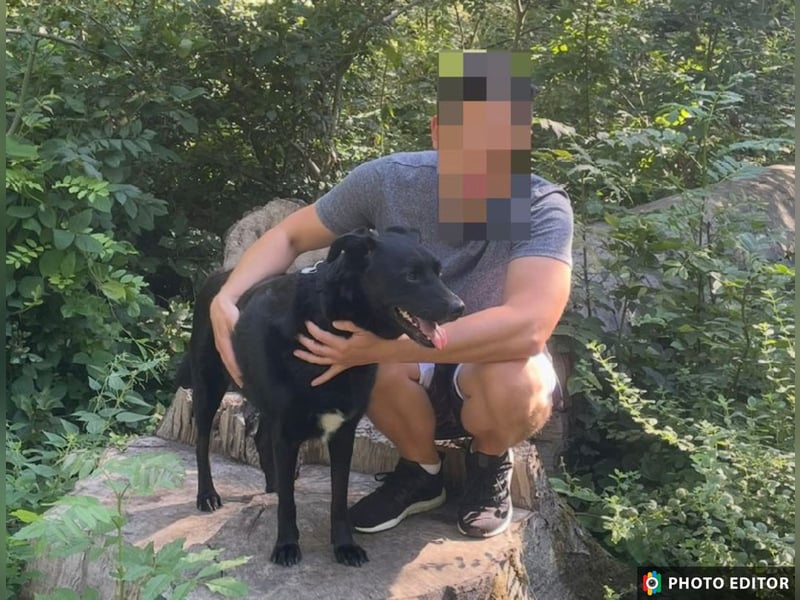 Bobby hat seinen Besitzer verloren und sucht ein neue Familie