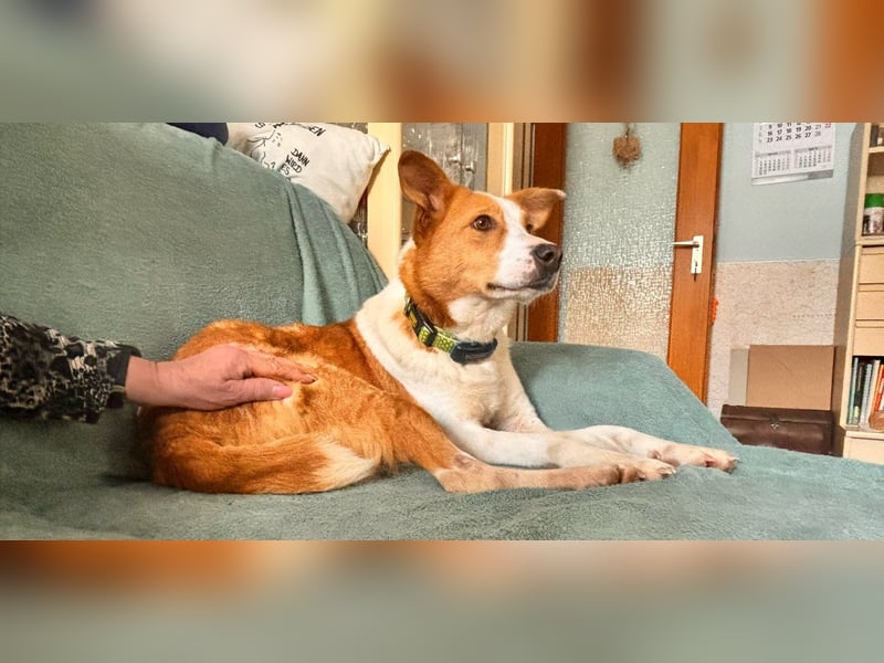 Dana sucht ihre liebevolle Familie