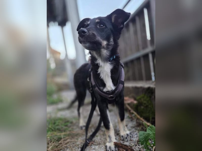 Sanfte Seele Janna sucht ihr Happy End