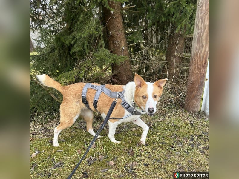 Dana sucht ihre liebevolle Familie