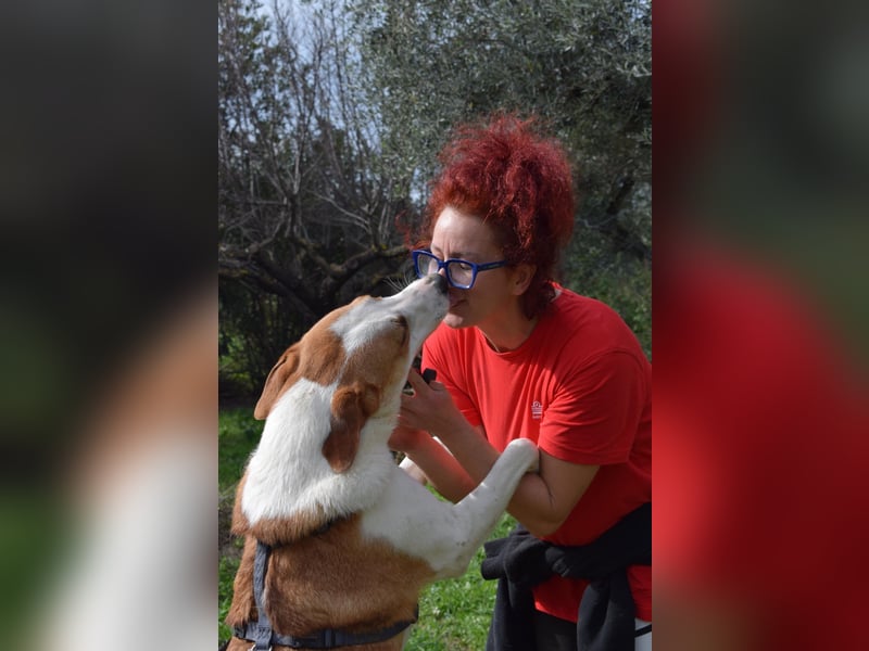 Theo: Prachtjunge auf vier Pfoten