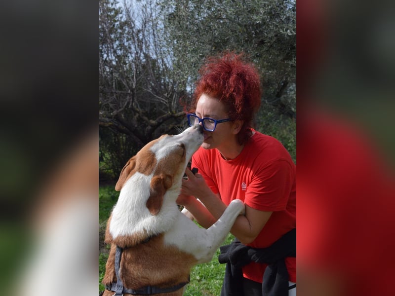 Theo: Prachtjunge auf vier Pfoten