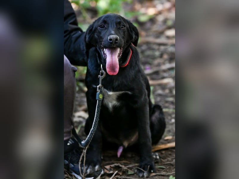 Süßer Charmeur Ulli