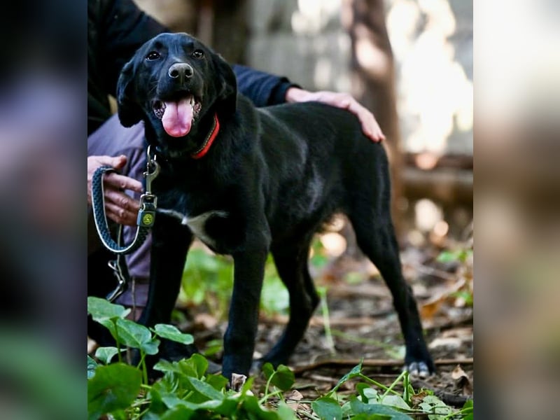 Süßer Charmeur Ulli