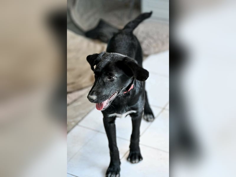 Süßer Charmeur Ulli