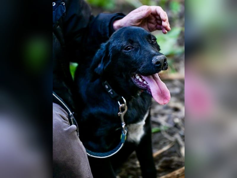 Süßer Charmeur Ulli