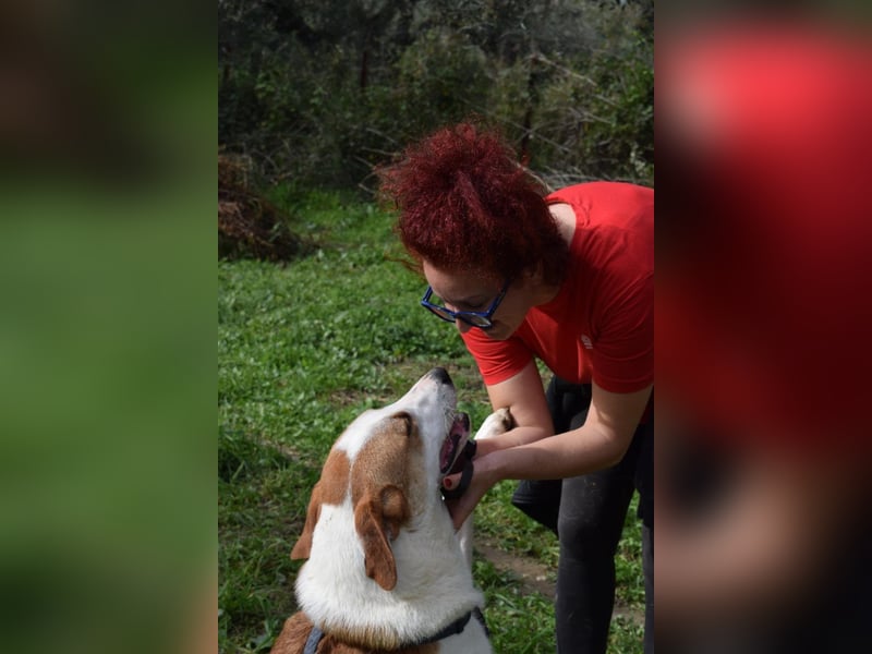 Theo: Prachtjunge auf vier Pfoten