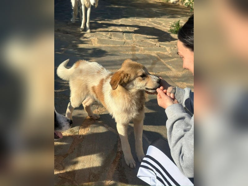 Schnuckelige Tiberia möchte Dein Herz erobern