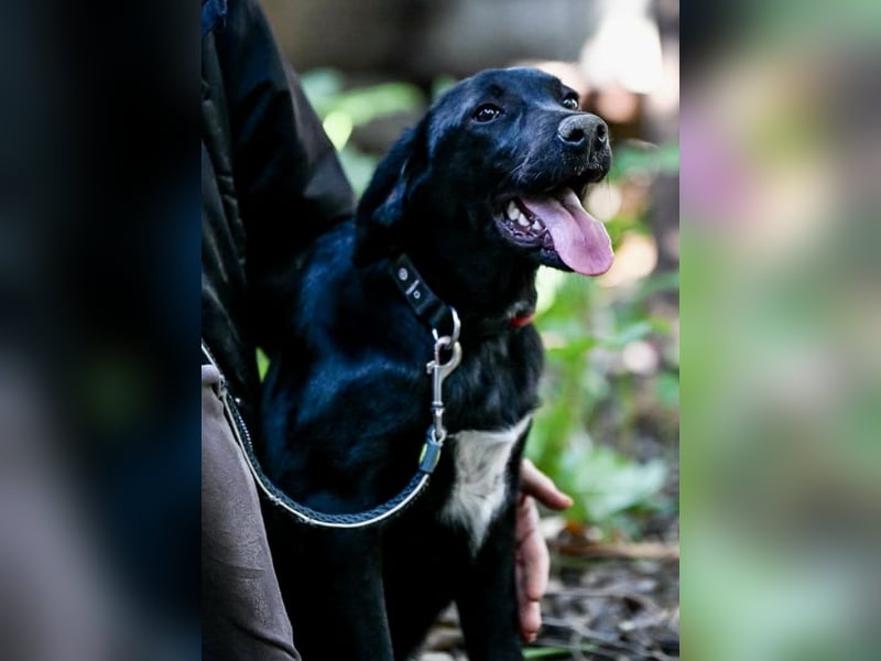 Süßer Charmeur Ulli