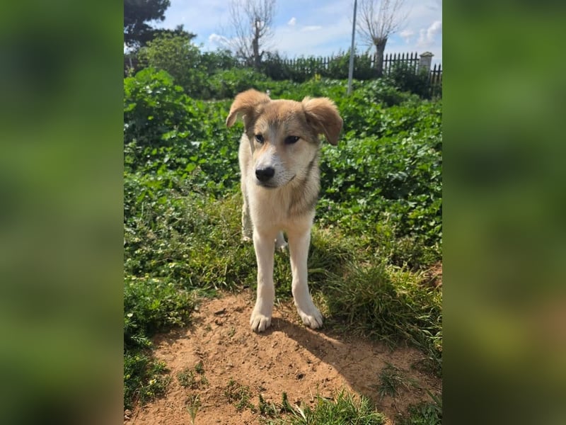 Schnuckelige Tiberia möchte Dein Herz erobern