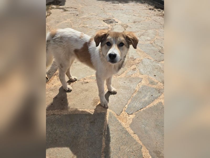 Schnuckelige Tiberia möchte Dein Herz erobern